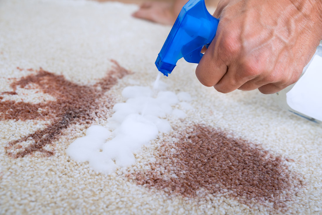 Spill stain on carpet being removed
